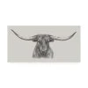 Trademark Global Ethan Harper Longhorn Bull Canvas Art - 15 X 20