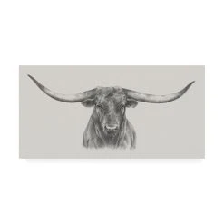 Trademark Global Ethan Harper Longhorn Bull Canvas Art - 15 X 20