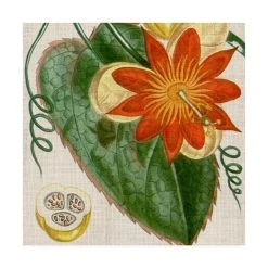 Trademark Global Vision Studio Cropped Turpin Tropicals I Canvas Art - 20 X 25