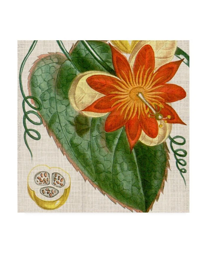 Trademark Global Vision Studio Cropped Turpin Tropicals I Canvas Art - 20 X 25