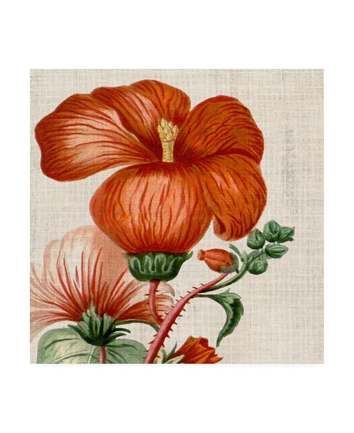 Trademark Global Vision Studio Cropped Turpin Tropicals VIII Canvas Art - 15 X 20