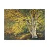 Trademark Global Ham Reynolds Golden Light I Canvas Art - 37 X 49
