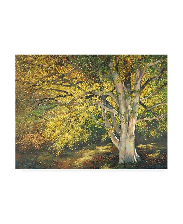 Trademark Global Ham Reynolds Golden Light I Canvas Art - 37 X 49