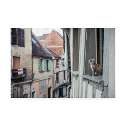 Trademark Global Imothy Entropy Territory Canvas Art - 20 X 25