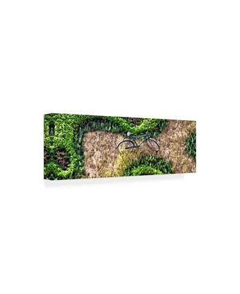Trademark Global Philippe Hugonnard Viva Mexico 2 Earth From Above III Canvas Art - 15.5 X 21 - Image 2