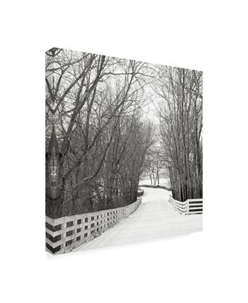 Trademark Global Nicholas Bel Country Lane In Winter Canvas Art - 19.5 X 26 - Image 2
