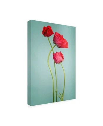 Trademark Global PhotoINC Studio Blue Poppy Red Canvas Art - 27 X 33.5 - Image 2