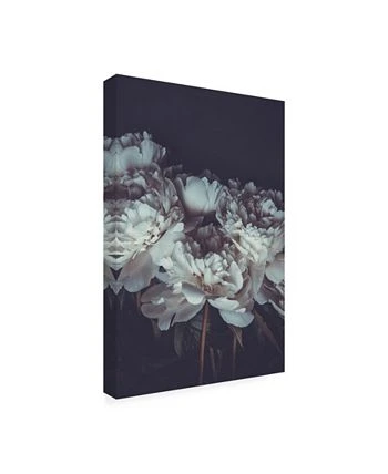 Trademark Global PhotoINC Studio Romantic Canvas Art - 19.5 X 26 - Image 2