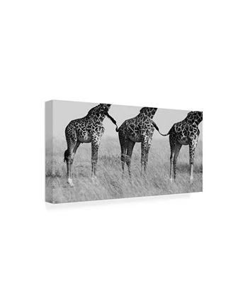 Trademark Global Mohammed Alnaser Wild Connection Canvas Art - 20 X 25 - Image 2