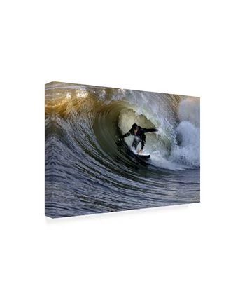 Trademark Global Claudio Moretti To Play With The Nature Canvas Art - 15 X 20 - Image 2