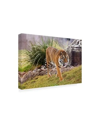 Trademark Global Monte Nagler Arizona Color 2 Canvas Art - 15 X 20 - Image 2