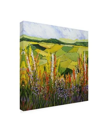 Trademark Global Allan Friedlander How Green Is My Valley Canvas Art - 19.5 X 26 - Image 2