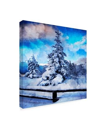 Trademark Global Philippe Sainte-Laudy My Beautiful Fir Tree Canvas Art - 20 X 25 - Image 2