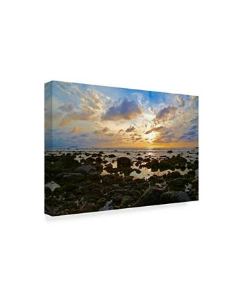 Trademark Global American School Punta Mita Sunset Blue Canvas Art - 20 X 25 - Image 2