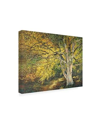 Trademark Global Ham Reynolds Golden Light I Canvas Art - 37 X 49 - Image 2