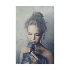 Trademark Global PhotoINC Studio Dark Rose Canvas Art - 36.5 X 48