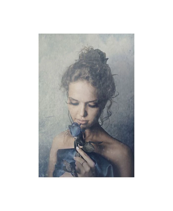 Trademark Global PhotoINC Studio Dark Rose Canvas Art - 36.5 X 48