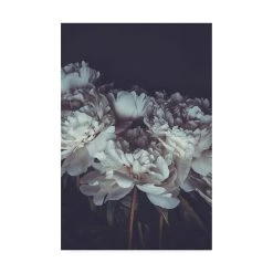 Trademark Global PhotoINC Studio Romantic Canvas Art - 36.5 X 48