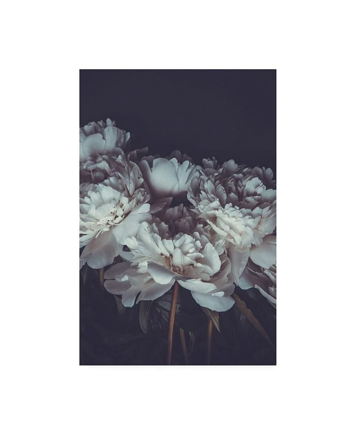 Trademark Global PhotoINC Studio Romantic Canvas Art - 36.5 X 48