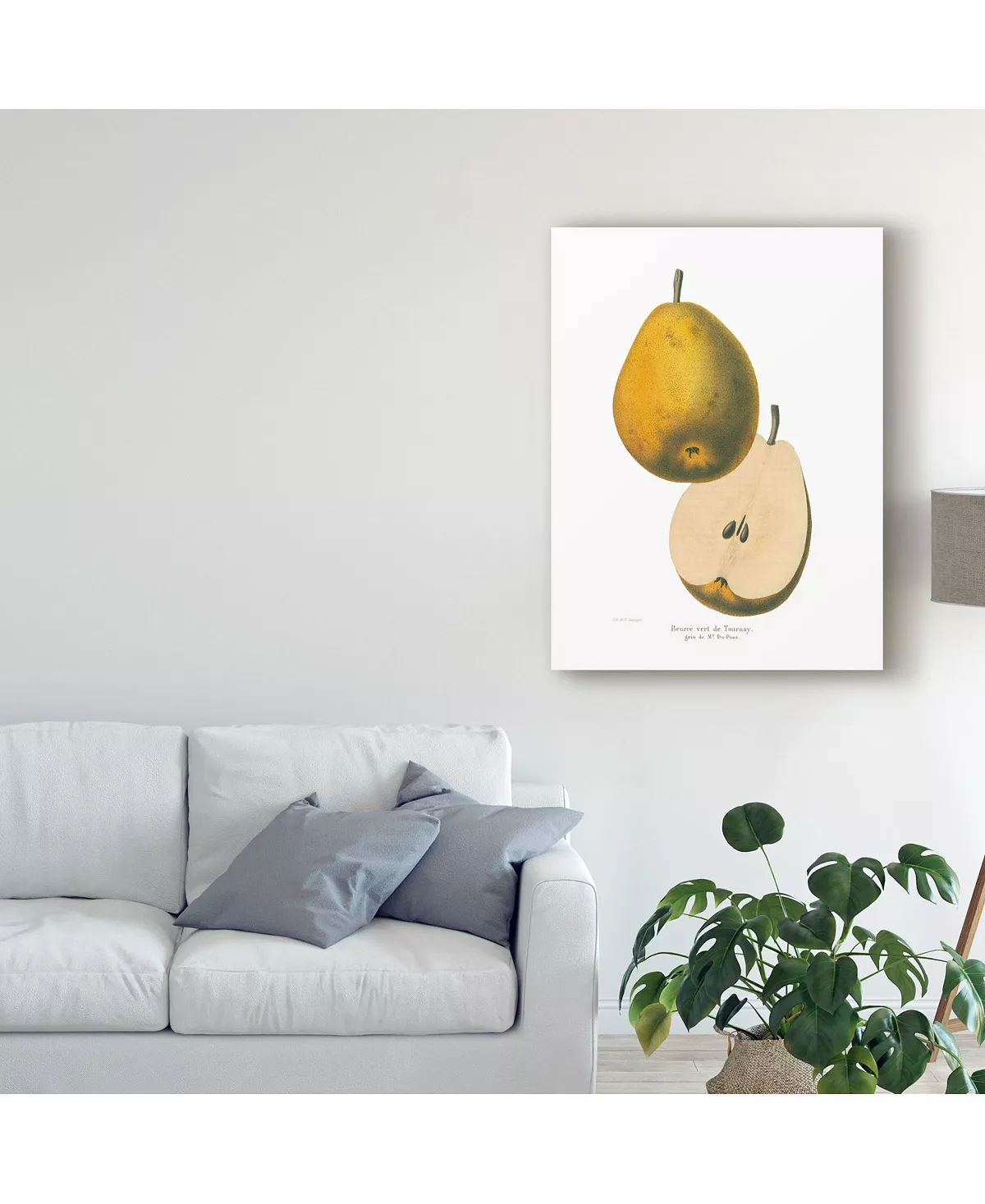 Trademark Global Wild Apple Portfolio Tournay On White Canvas Art - 20 X 25 - Image 3