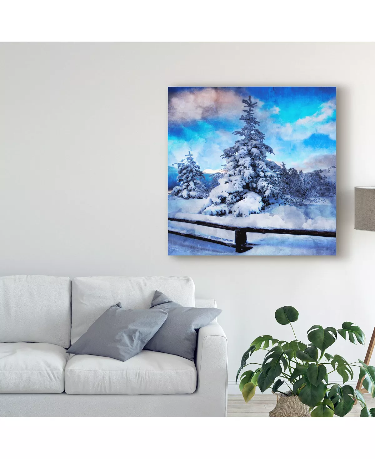 Trademark Global Philippe Sainte-Laudy My Beautiful Fir Tree Canvas Art - 20 X 25 - Image 3