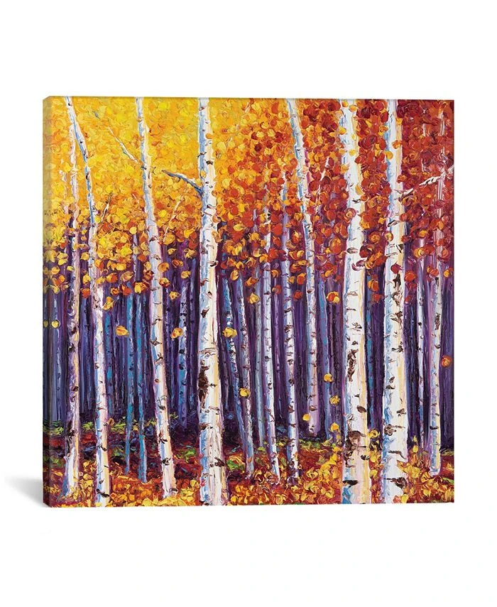 ICanvas Evanescence By Kimberly Adams Wrapped Canvas Print - 26 X 26