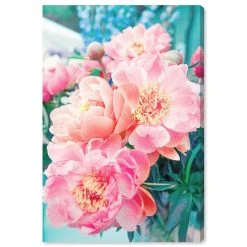 Oliver Gal Pen Peonies Canvas Art Collection