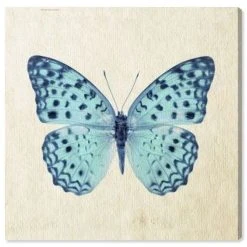 Oliver Gal Blue Butterfly Canvas Art Collection