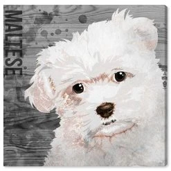 Oliver Gal Love My Maltese Canvas Art Collection
