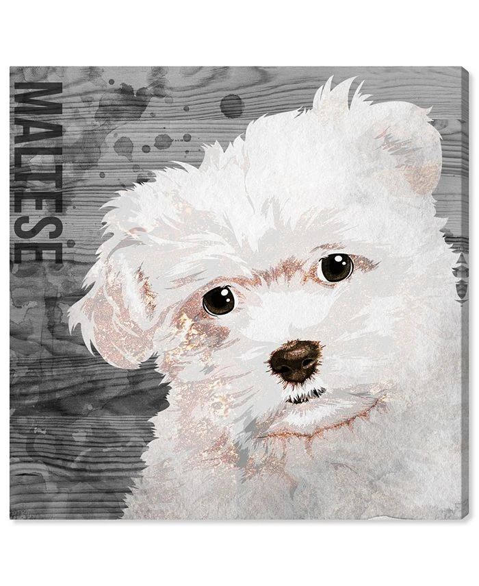 Oliver Gal Love My Maltese Canvas Art Collection