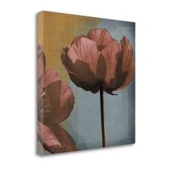 Tangletown Fine Art Blooming Jewels By Robert Lacie Fine Art Giclee Print On Gallery Wrap Canvas, 25 X 25