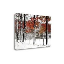 Tangletown Fine Art Snowfall By Burney Lieberman Fine Art Giclee Print On Gallery Wrap Canvas, 34 X 23