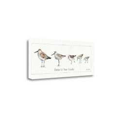 Tangletown Fine Art Pebbles And Sandpipers IX By Lisa Audit Giclee Print On Gallery Wrap Canvas, 28 X 12