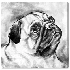 Oliver Gal Pug Canvas Art Collection