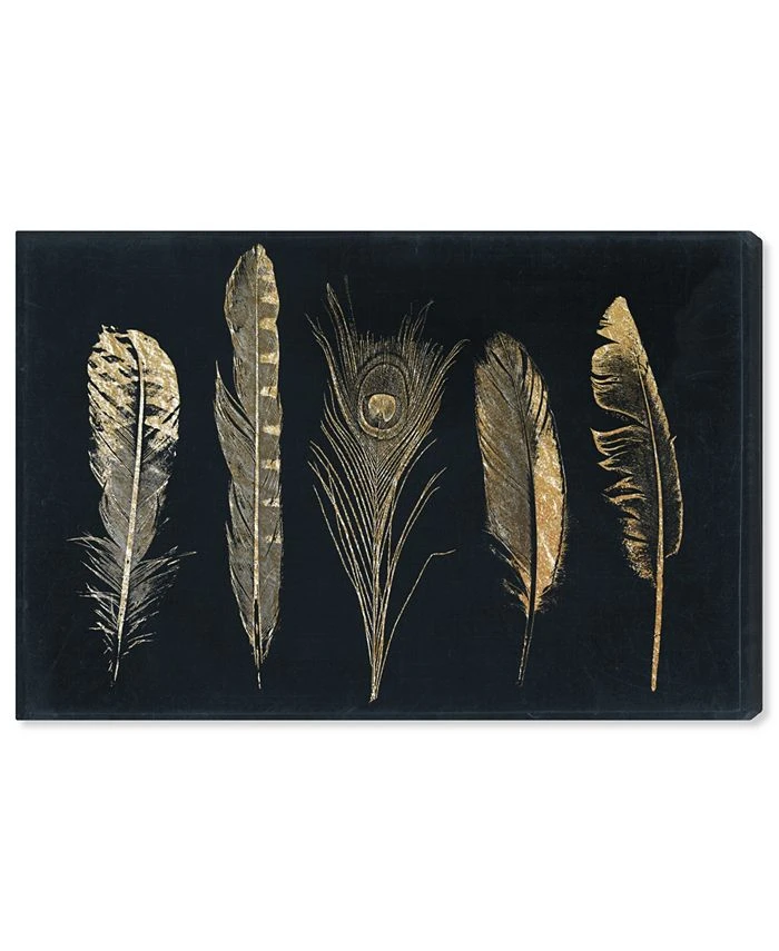 Oliver Gal Corinthian Feathers Canvas Art - 20 X 30 X 1.5