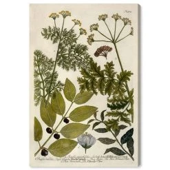 Oliver Gal Thapfia Canvas Art - 36 X 24 X 1.5