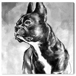 Oliver Gal French Bulldog Canvas Art - 12 X 12 X 1.5