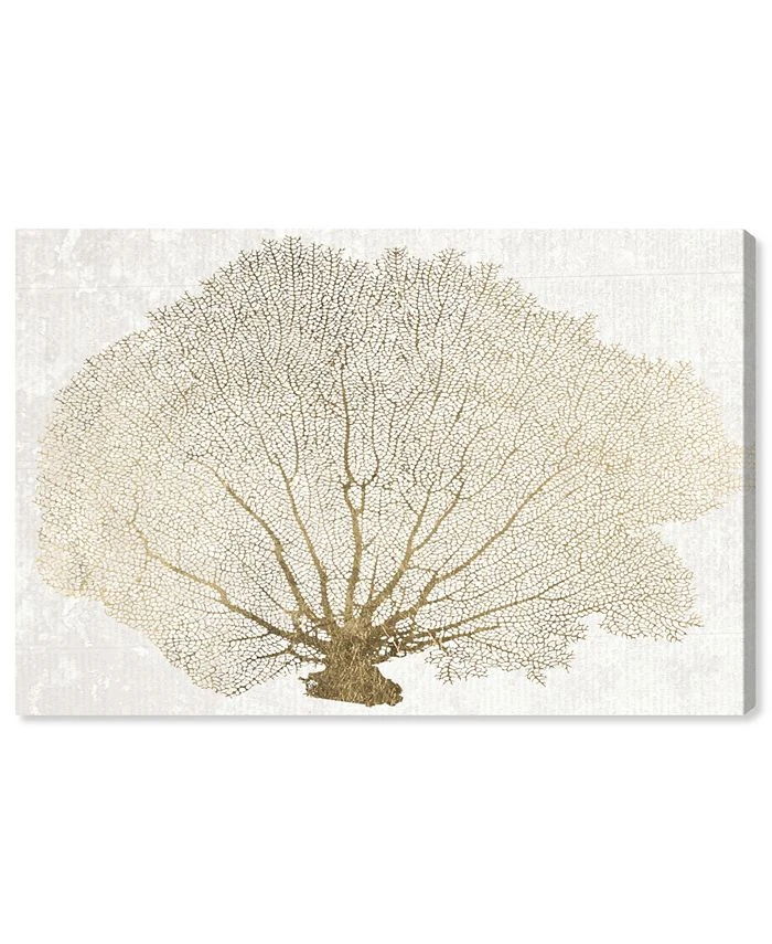 Oliver Gal Modern Marine Plant Giclee Print On Gallery Wrap Canvas Art