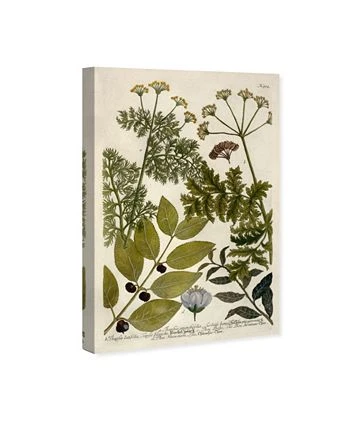 Oliver Gal Thapfia Canvas Art - 36 X 24 X 1.5 - Image 2