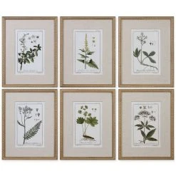 Uttermost Green Floral Botanical Study Wall Art, Set Of 6