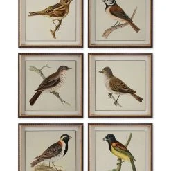 Uttermost Spring Soldiers Wall Art, Set Of 6